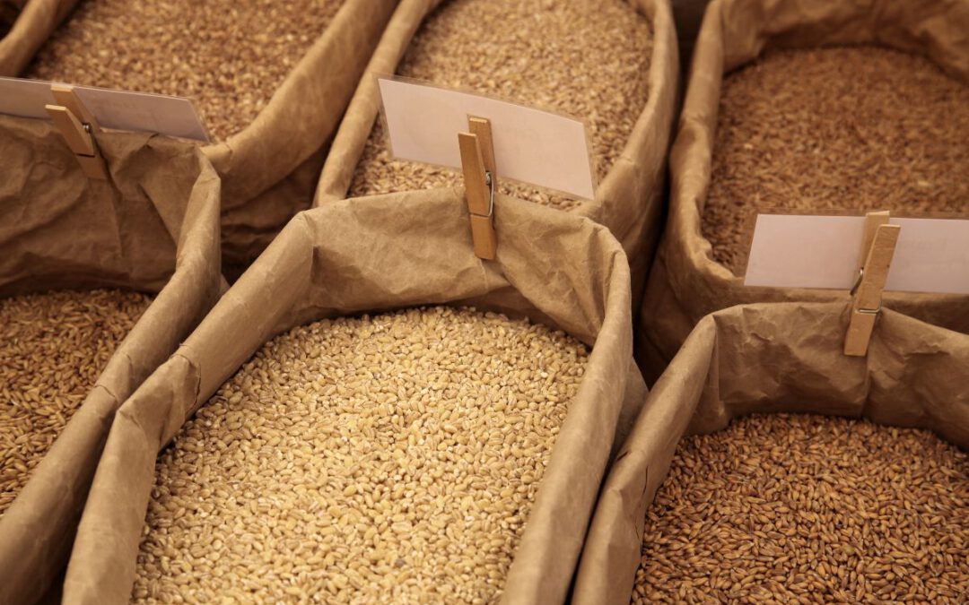 Dosificación y mezclado de materias primas: claves para la eficiencia industrial