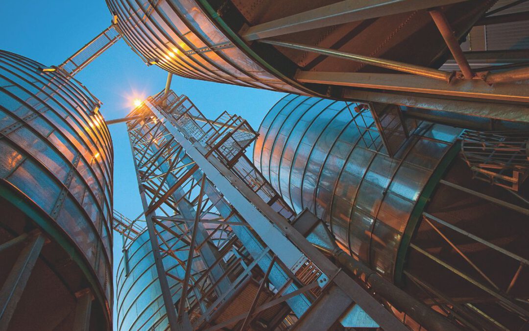 Diseño de sistemas de almacenamiento y transporte a granel